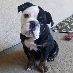 Meet your Posher, Chris